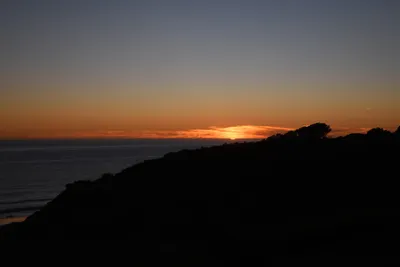 DSC_2561 (Large).JPG